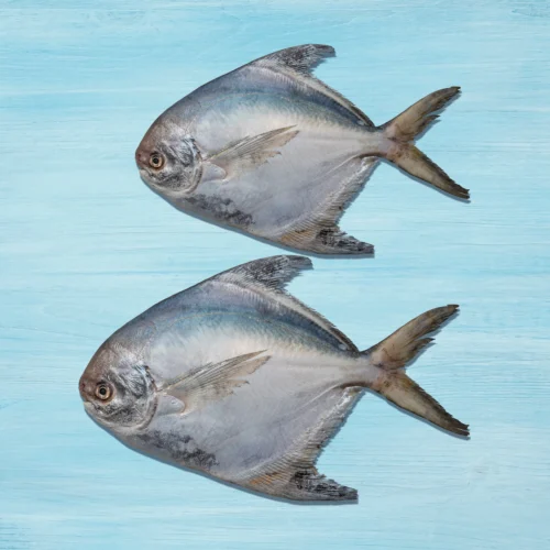 Pomfret Small