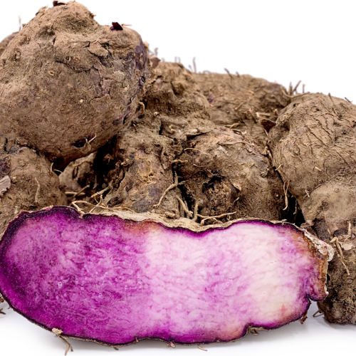 Purple Yam