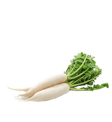Radish (Mula)