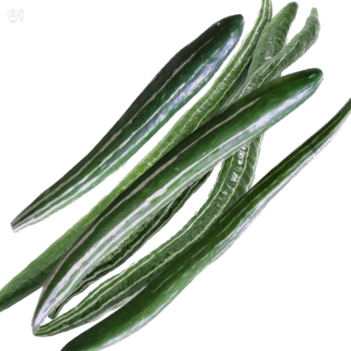 Snakegourd
