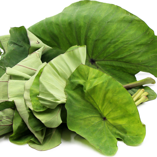 Taro Leaves