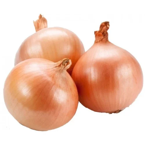 Brown Onion